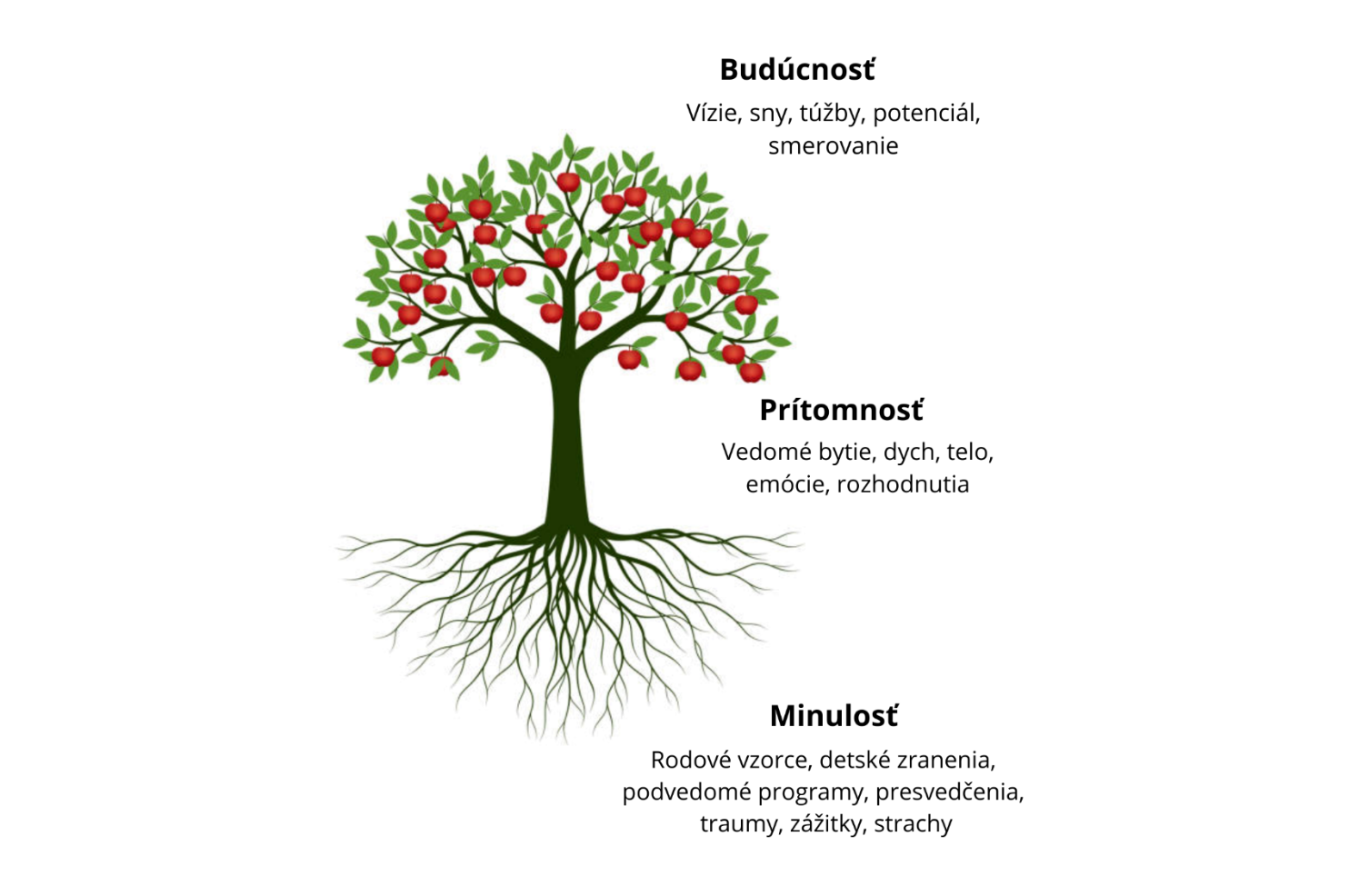 Tvoj strom, tvoja cesta, tvoja premena