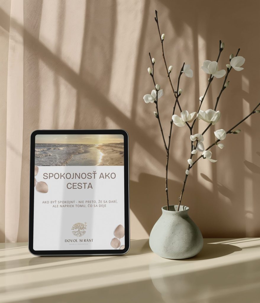 e-book Spokojnosť ako cesta Nikola Boboková